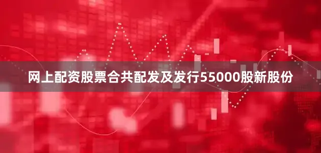 网上配资股票合共配发及发行55000股新股份