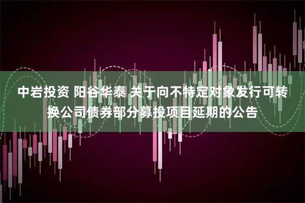 中岩投资 阳谷华泰 关于向不特定对象发行可转换公司债券部分募投项目延期的公告