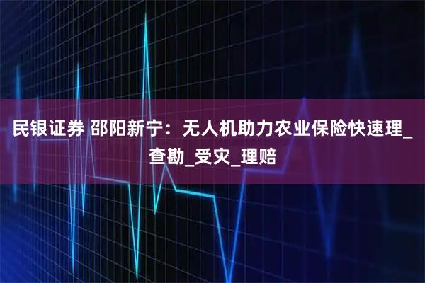 民银证券 邵阳新宁:无人机助力农业保险快速理_查勘_受灾_理赔