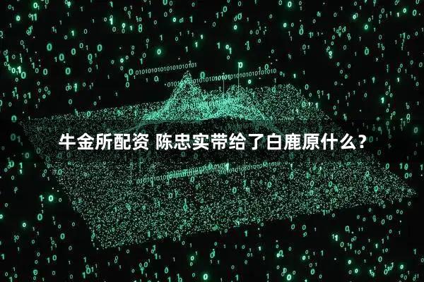 牛金所配资 陈忠实带给了白鹿原什么？