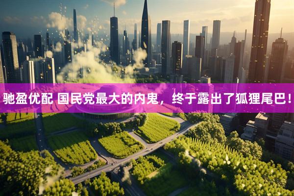 驰盈优配 国民党最大的内鬼，终于露出了狐狸尾巴！